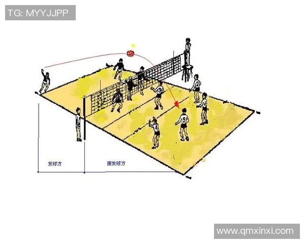 深入分析成都排球队防反战术的核心策略与实施效果